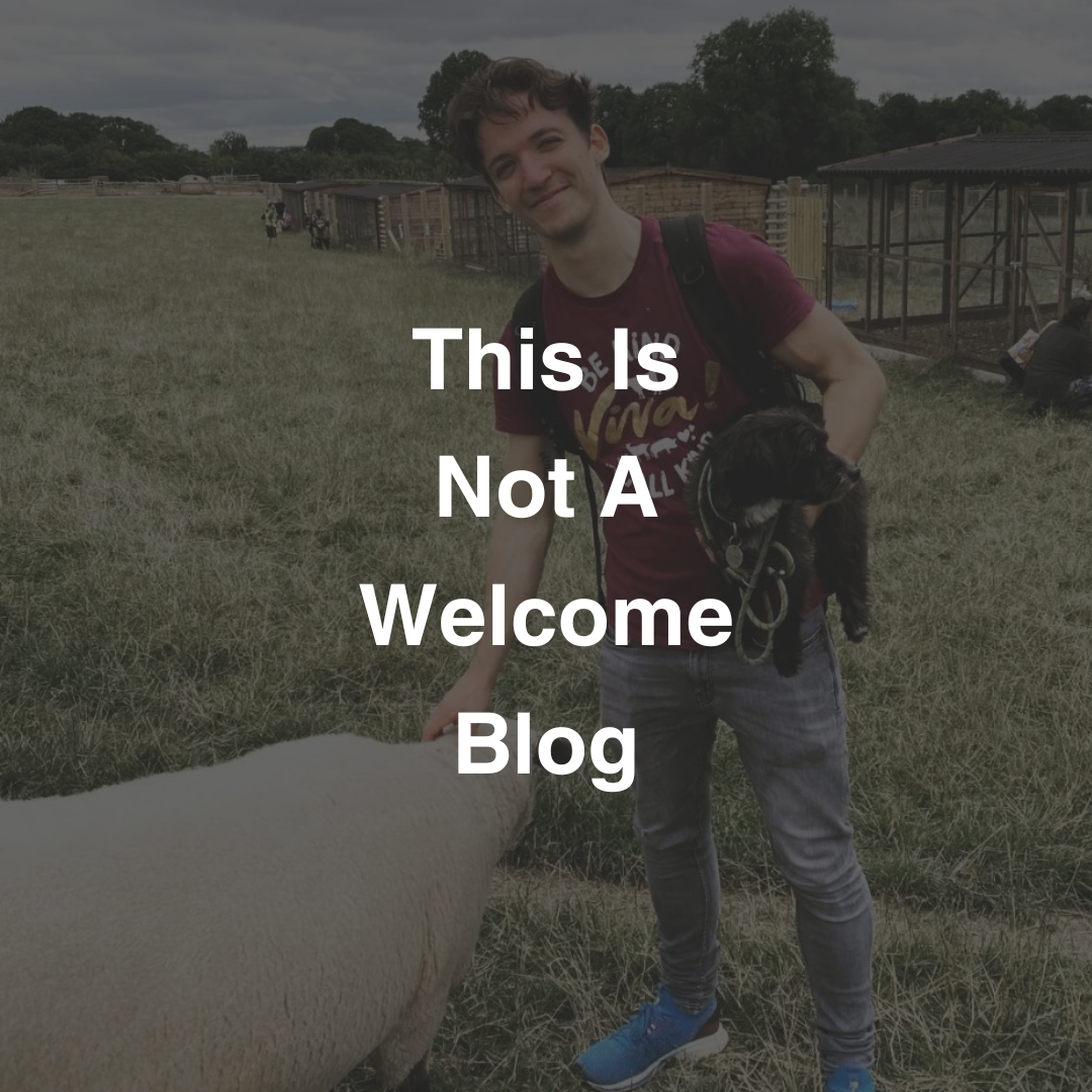 This Is Not A Game's Founder, Rory, holding dog, stroking sheep